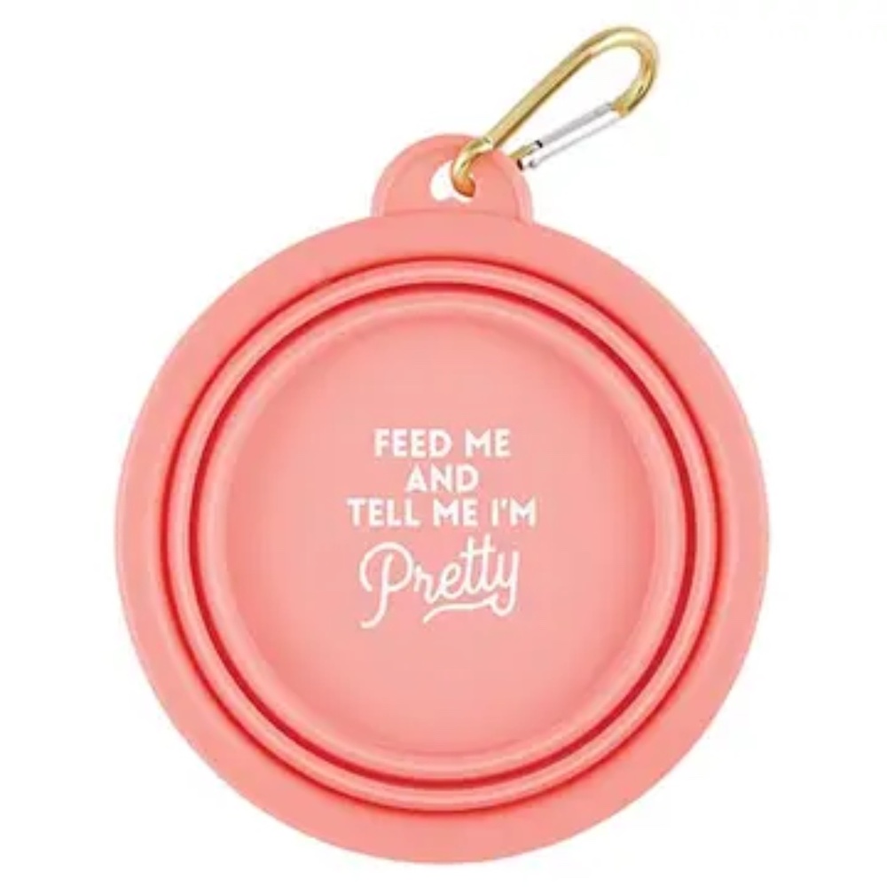 collapsible pet bowl